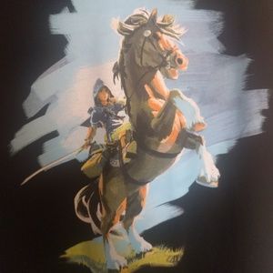 Con Exclusive Mens Breath of the Wild Zelda Hoodie